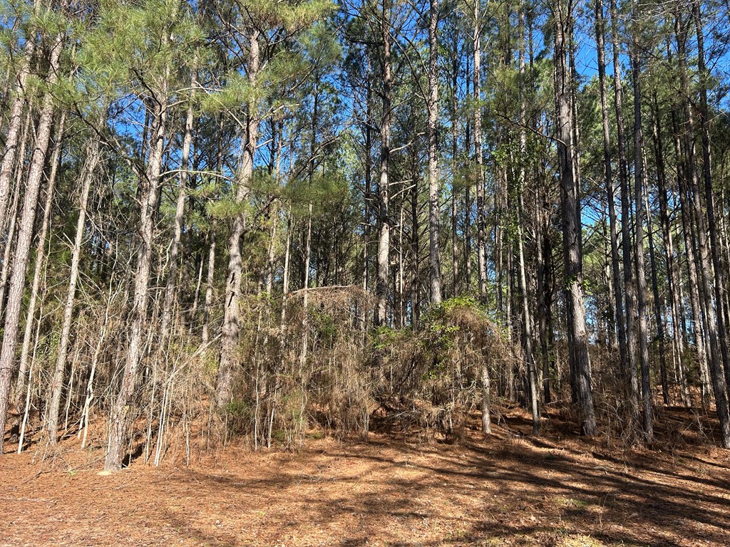 11034-11134 Cty Road Slocomb, AL 36375 - Photo 39 of 80