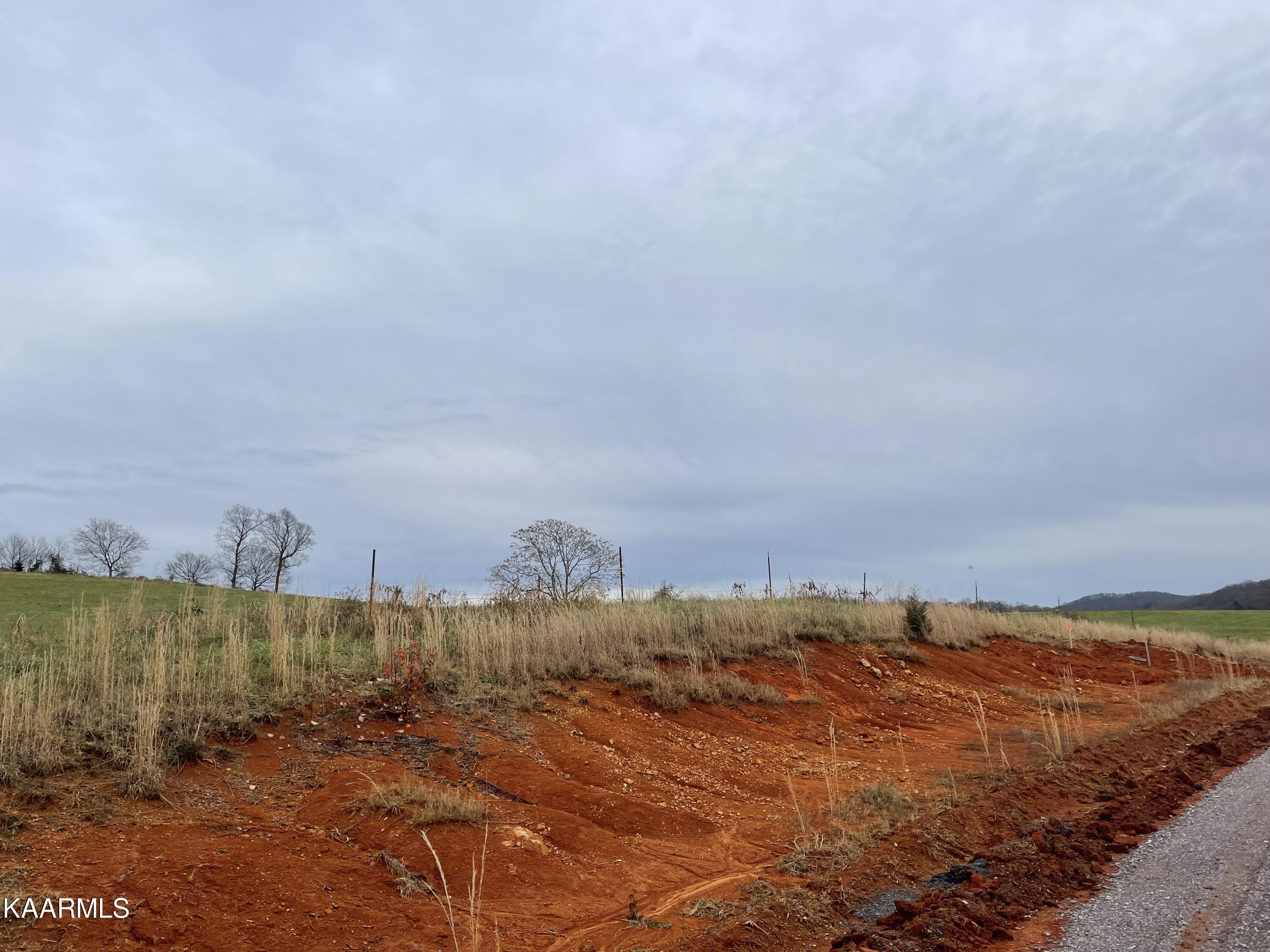 Lot 80 Howell River Road Rutledge, TN 37861 - Photo 2 of 2 IMG_4092