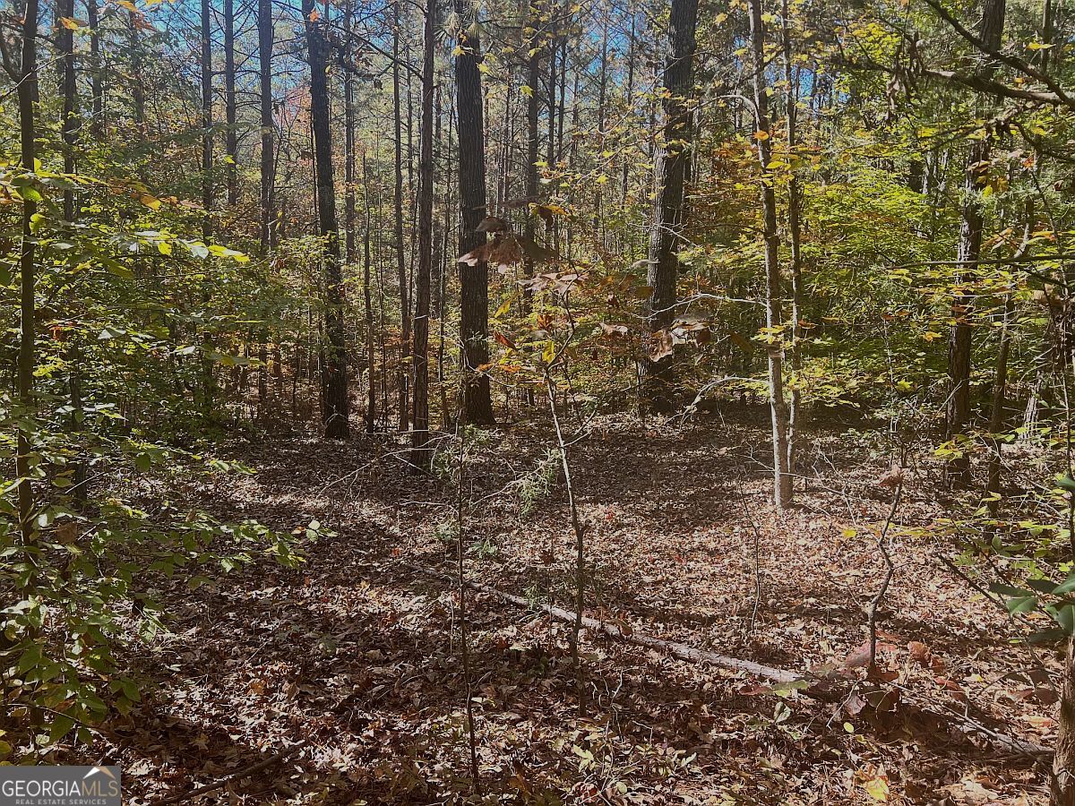 17.86-ac Pine Ridge Drive Elberton, GA 30635 - Photo 13 of 17 Gallery Image 13