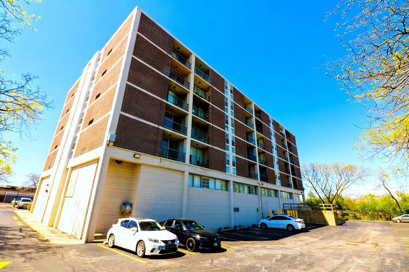1043 South York Road, Unit 409 Bensenville, IL 60106 - Photo 5 of 5