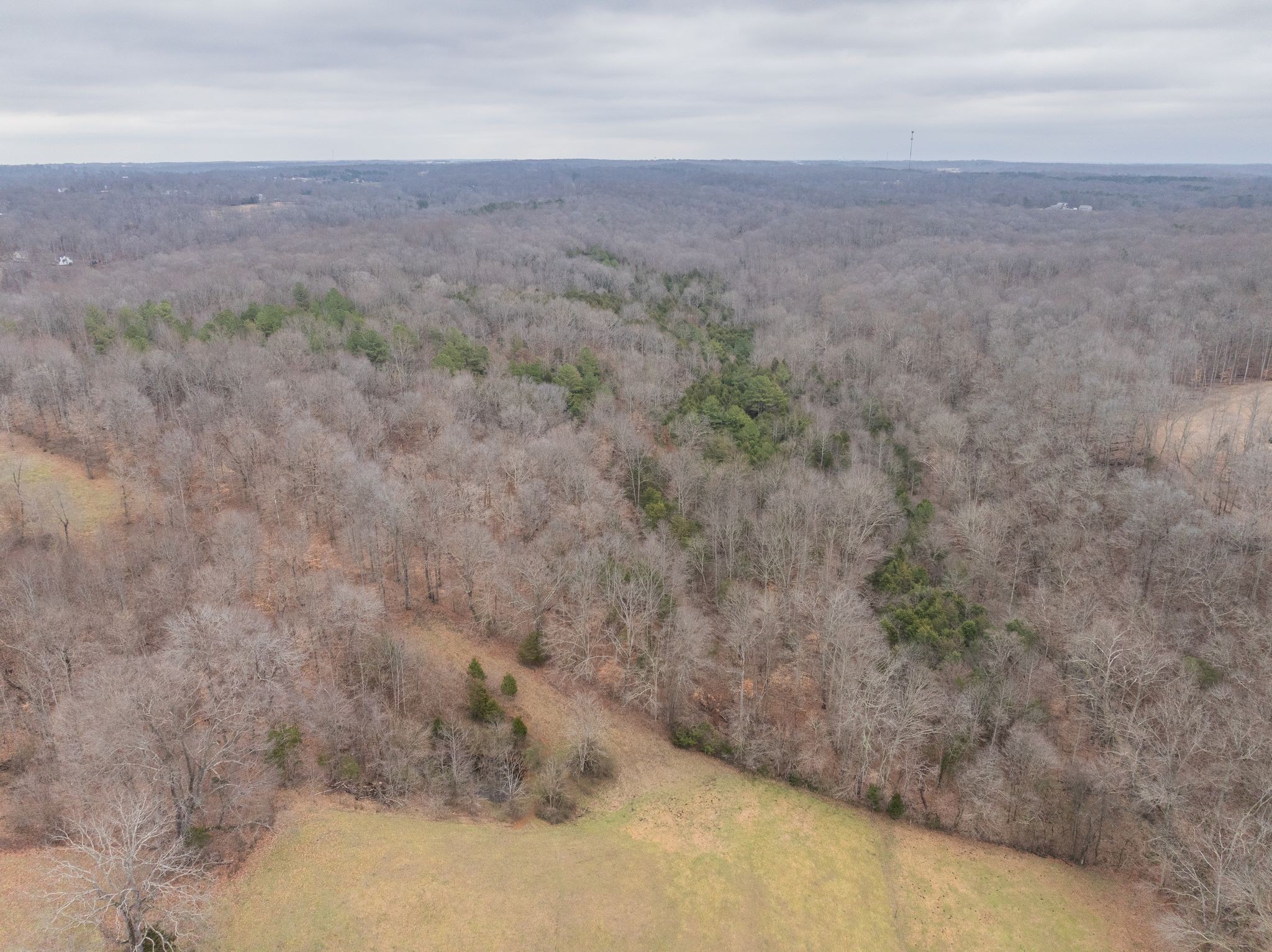 0 Wiley Branch Road Dickson, TN 37055 - Photo 4 of 27