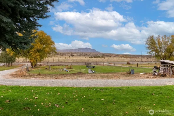a view of a fire pit with large trees