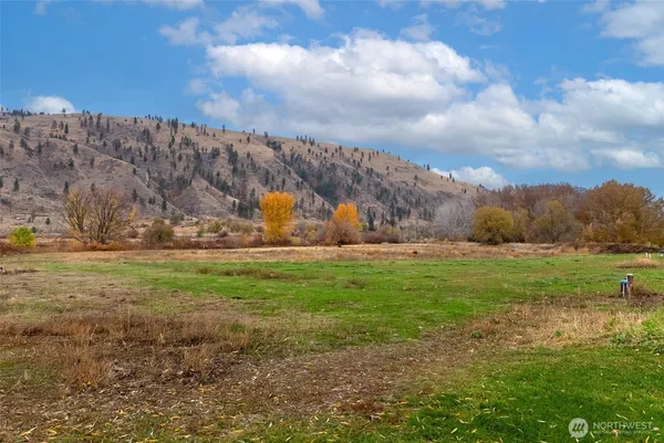 a view of grassy field