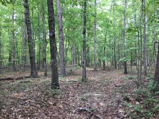 43 Stagecoach Road Sewanee, TN 37375 - Photo 3 of 16 Gallery Image 3