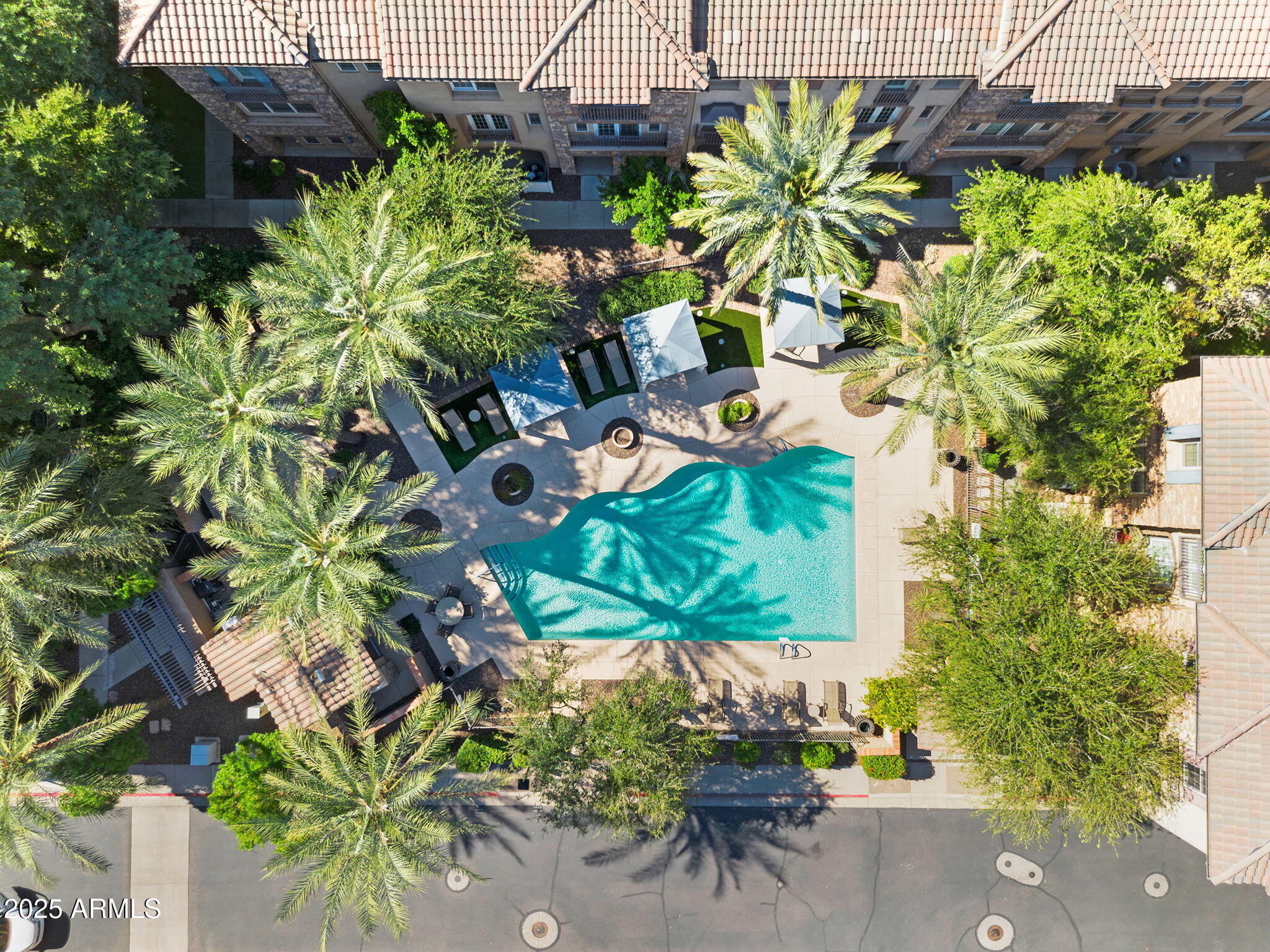 2446 East Roma Avenue Phoenix, AZ 85016 - Photo 35 of 37 Resort-Style Pool Courtyard