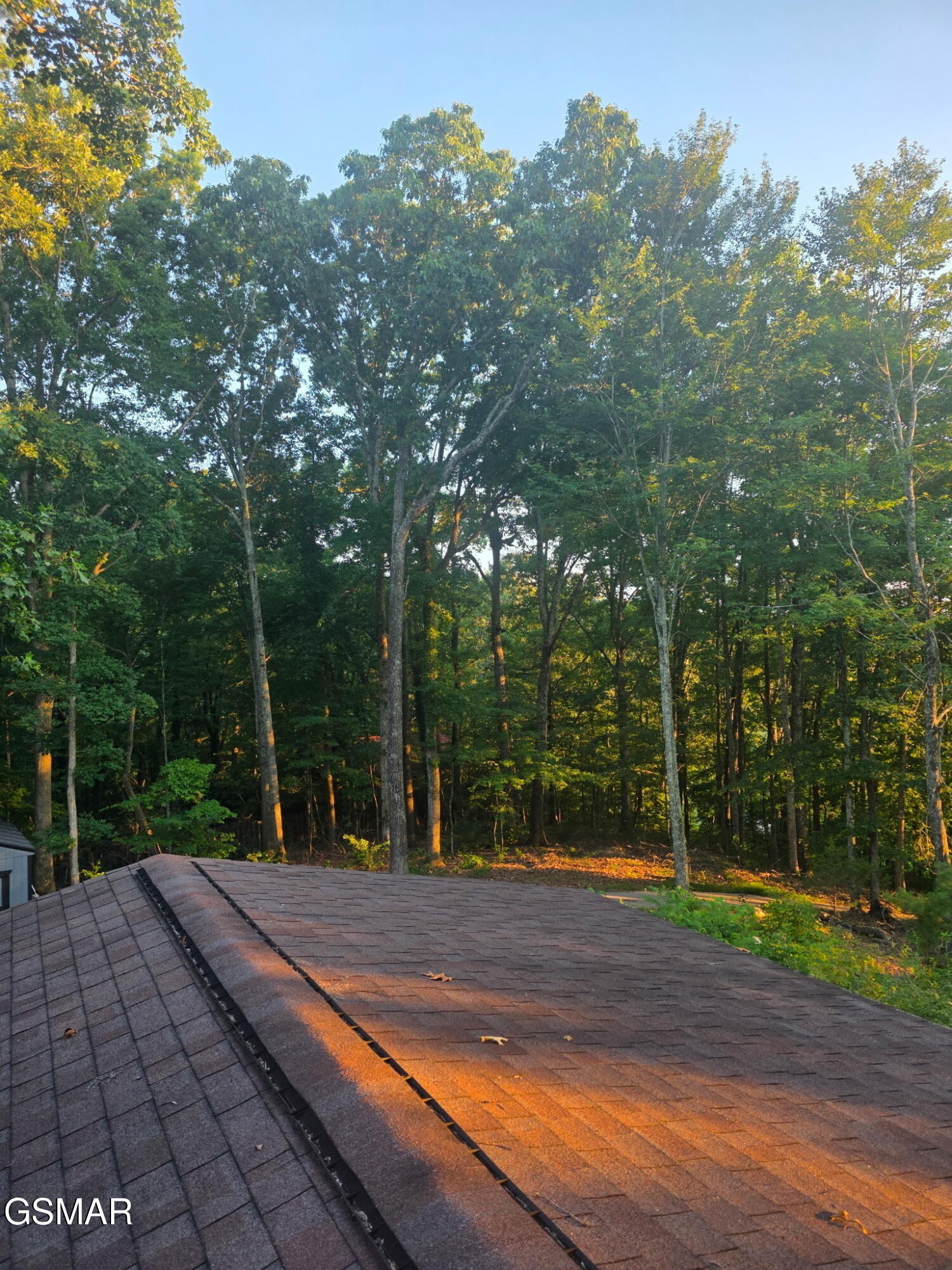 385 Laurel Road Clinton, TN 37716 - Photo 8 of 10 Gallery Image 8