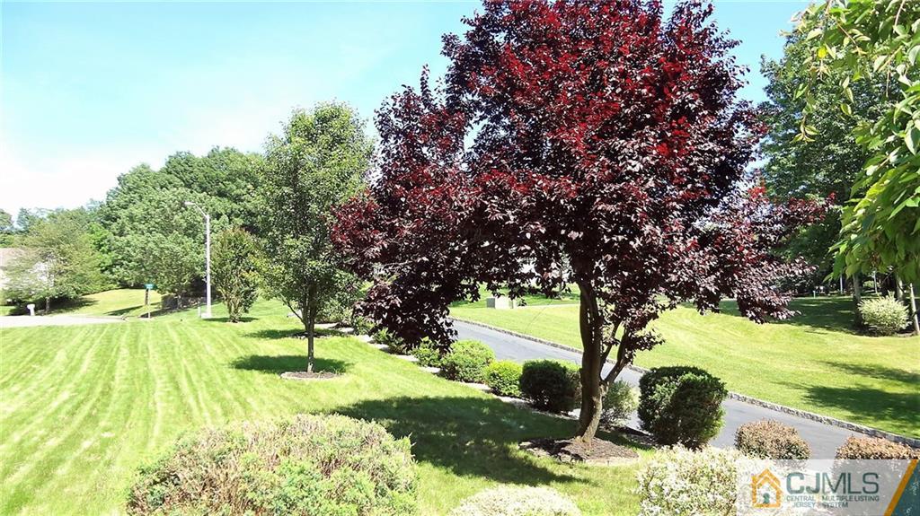 5 Verdi Road Monroe Township, NJ 08831 - Photo 2 of 25 a view of a yard with swimming pool