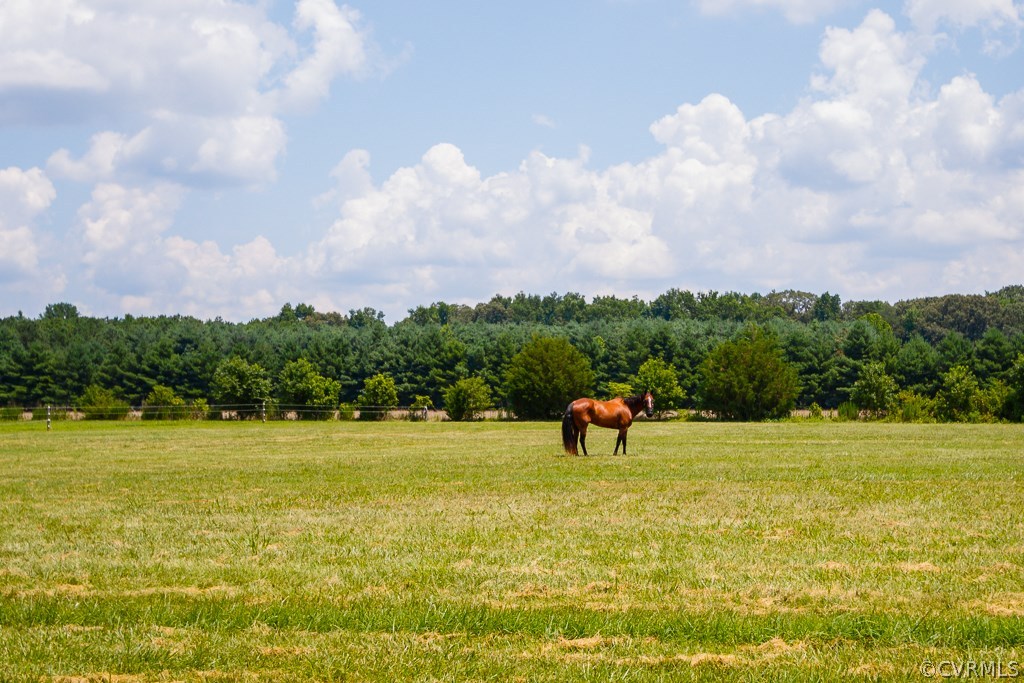 706 Mill Road King William, VA 23086 - Photo 4 of 45 Gallery Image 4