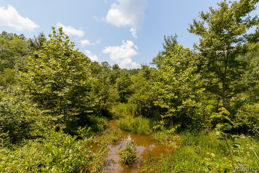 706 Mill Road King William, VA 23086 - Photo 43 of 45 Gallery Image 43