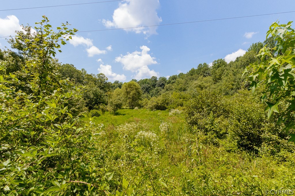 706 Mill Road King William, VA 23086 - Photo 44 of 45 Gallery Image 44