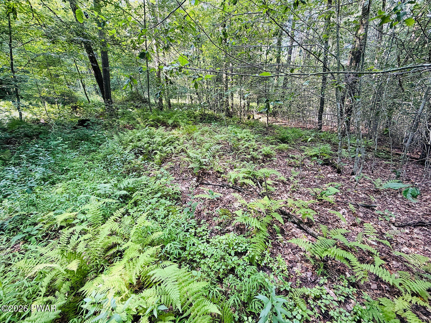 0 Callicoon Road Damascus, PA 18415 - Photo 7 of 31 Gallery Image 7