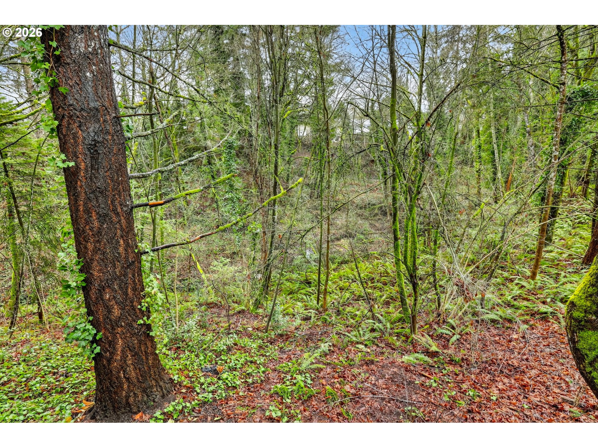 810 East 9th Street, Unit D13 Newberg, OR 97132 - Photo 38 of 42 a view of outdoor space and green space