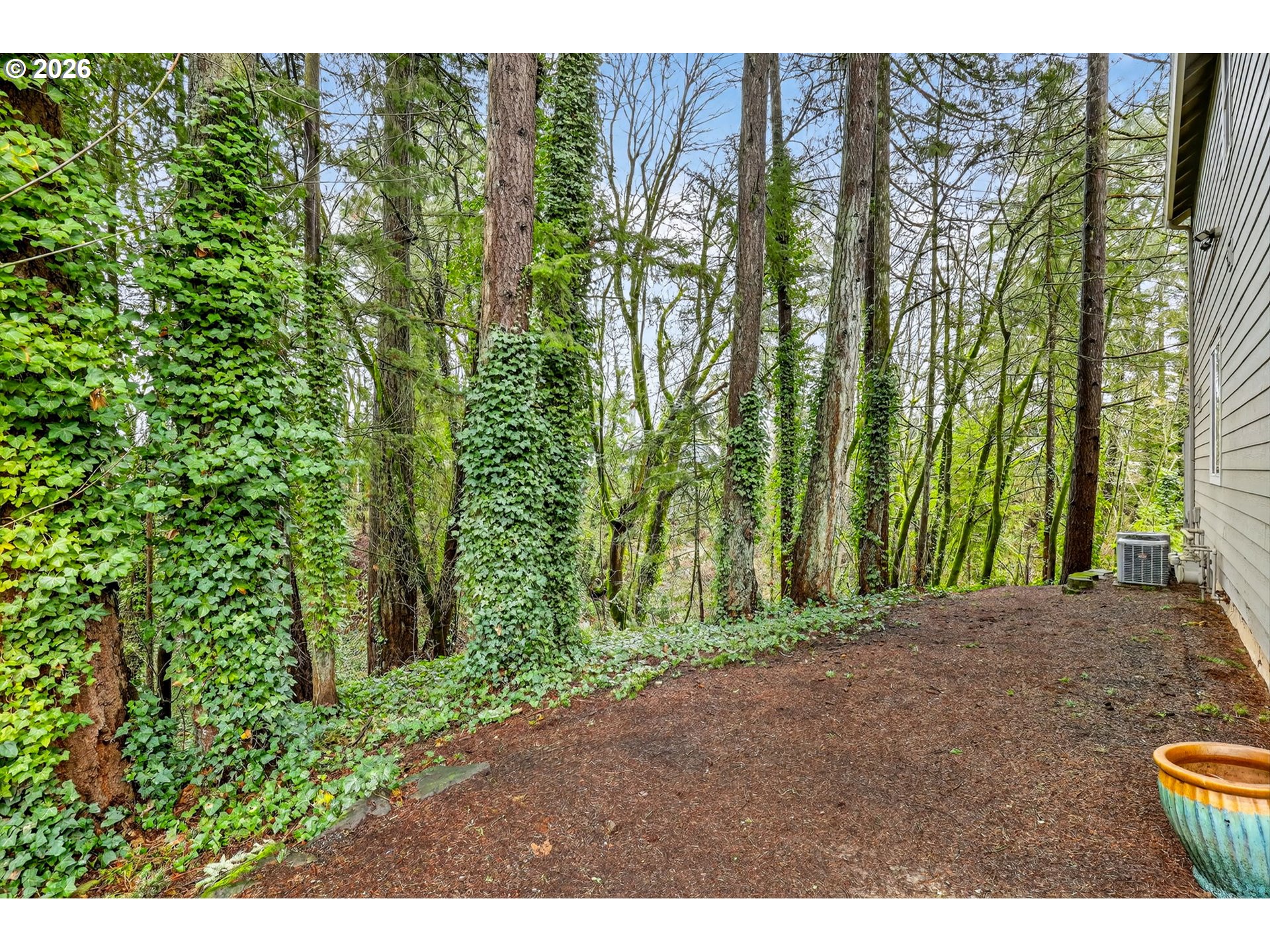810 East 9th Street, Unit D13 Newberg, OR 97132 - Photo 40 of 42 a view of a yard with plants and trees