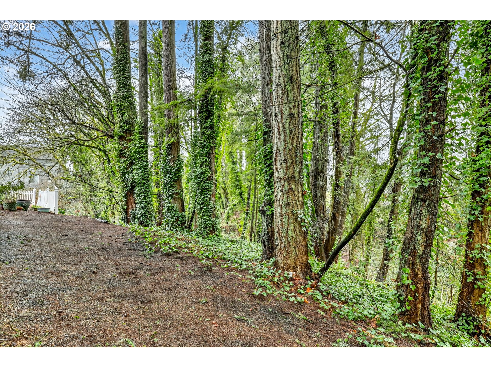 810 East 9th Street, Unit D13 Newberg, OR 97132 - Photo 41 of 42 a view of a backyard