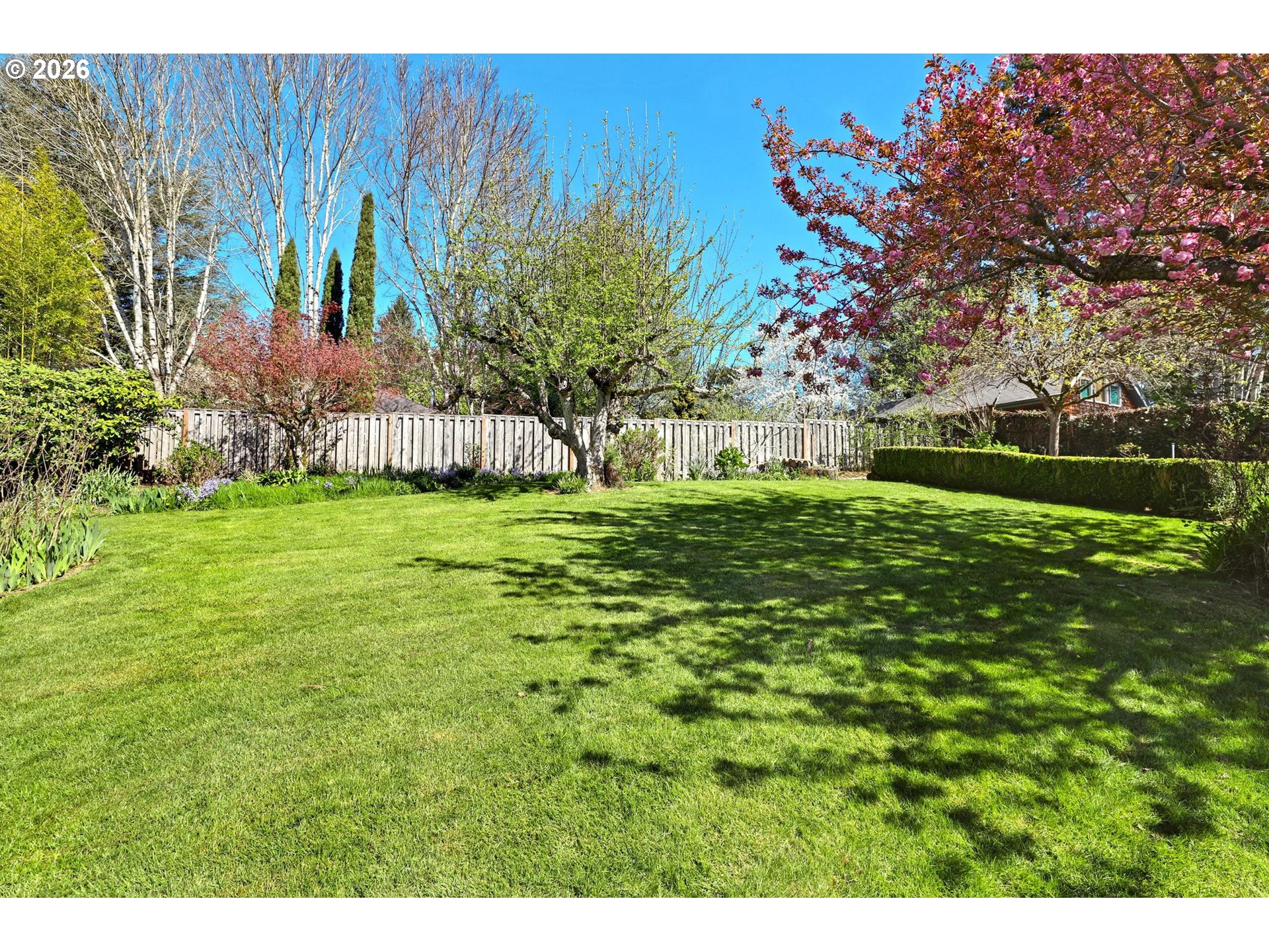 7021 Southwest Canyon Lane Portland, OR 97225 - Photo 20 of 25 a backyard of a house with lots of green space