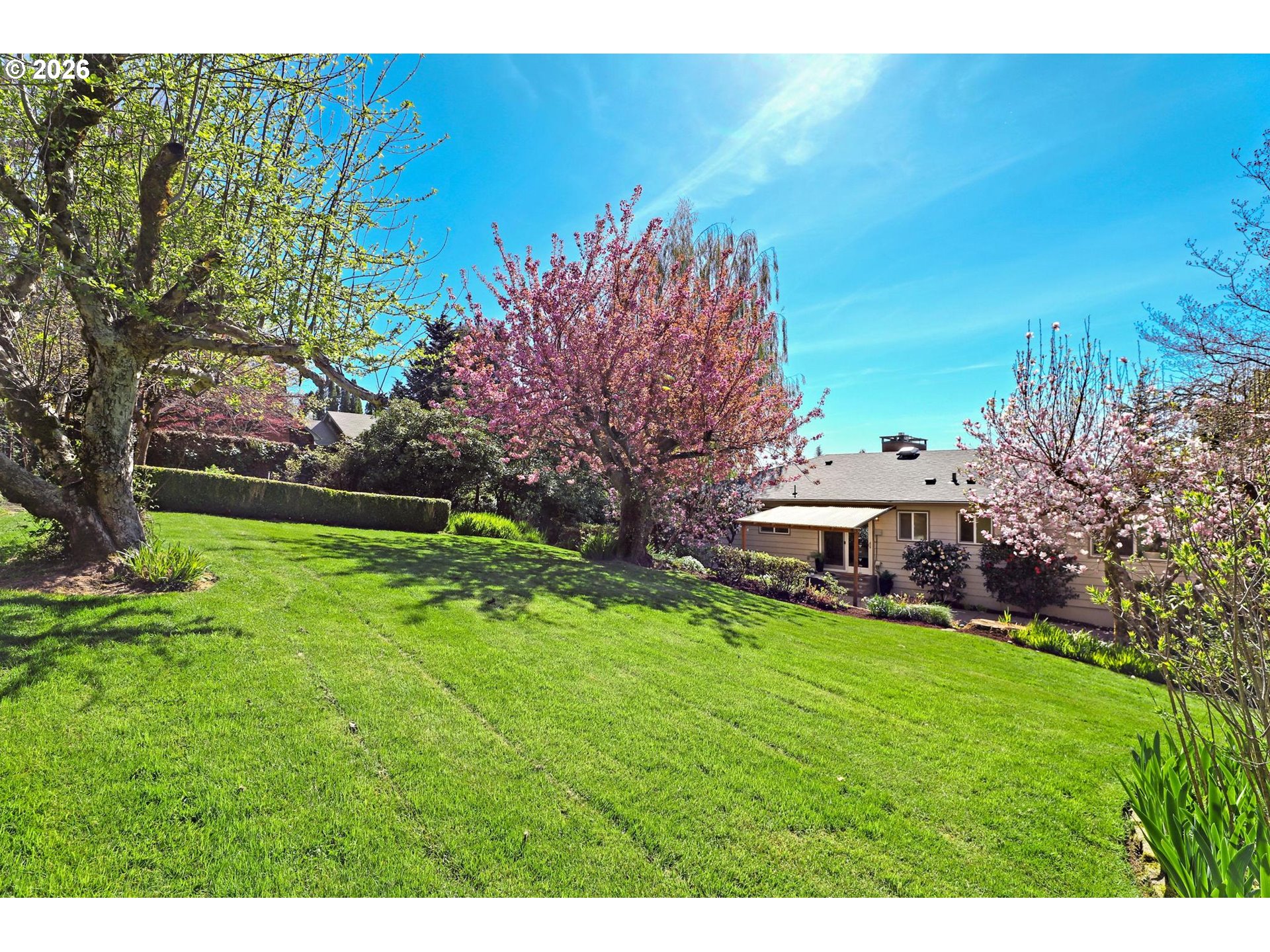 7021 Southwest Canyon Lane Portland, OR 97225 - Photo 2 of 25 a view of a backyard with plants and a patio