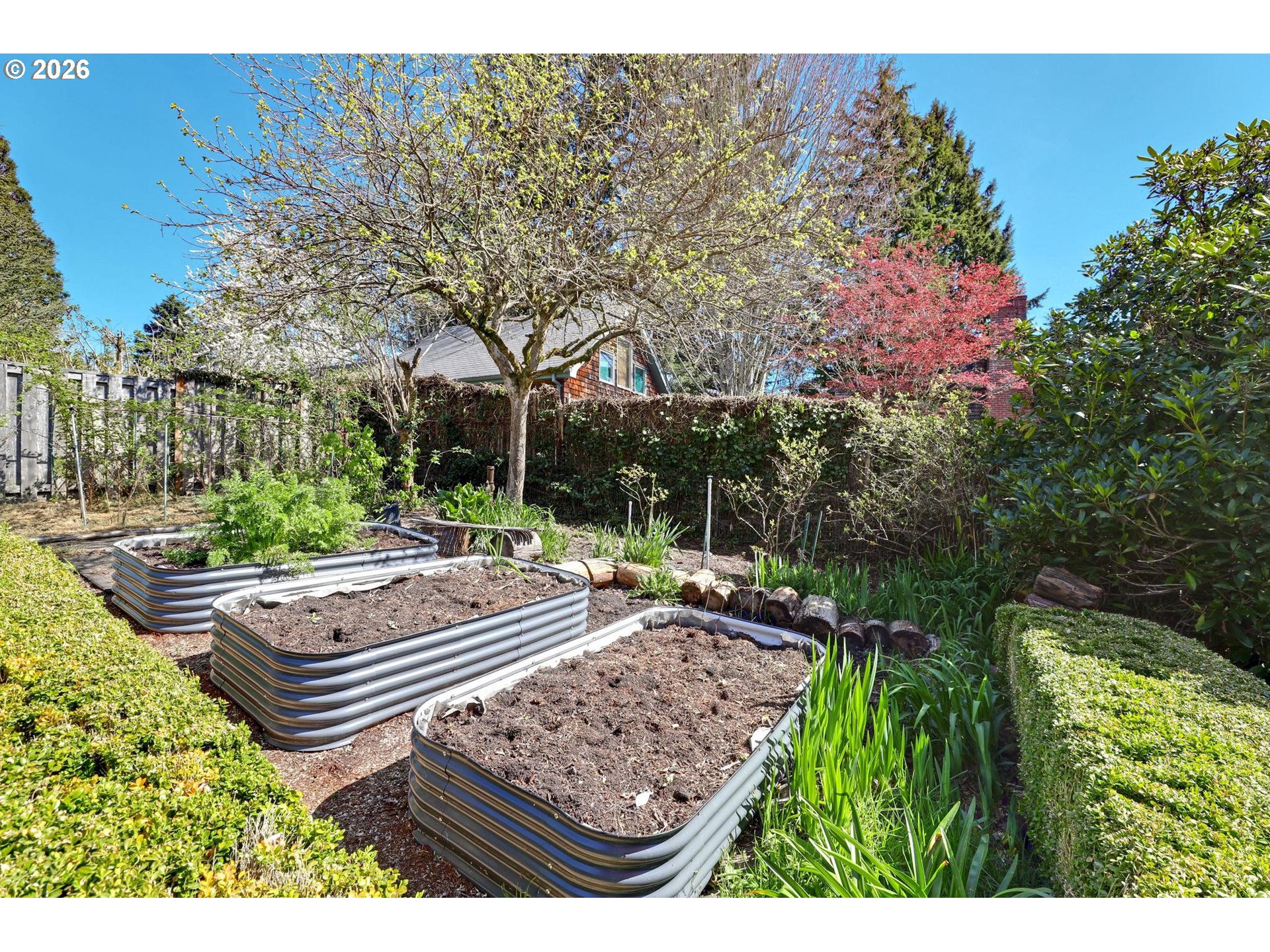 7021 Southwest Canyon Lane Portland, OR 97225 - Photo 24 of 25 a view of a backyard with plants and patio
