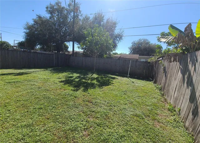 a view of backyard with tree