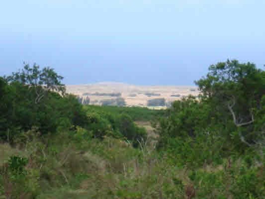 6 Kamaoa Road Captain Cook, HI 96704 - Photo 1 of 6 Gallery Image 1