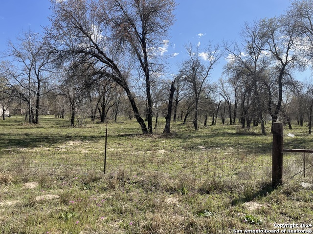 375 County Road Natalia, TX 78059 - Photo 3 of 7 a view of backyard with green space
