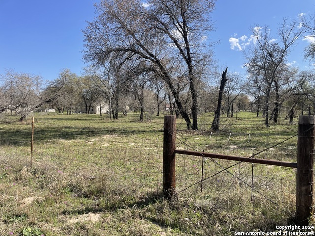 375 County Road Natalia, TX 78059 - Photo 5 of 7 a view of a yard with large trees