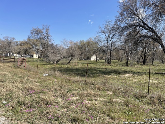 375 County Road Natalia, TX 78059 - Photo 6 of 7 a backyard of a house with lots of green space