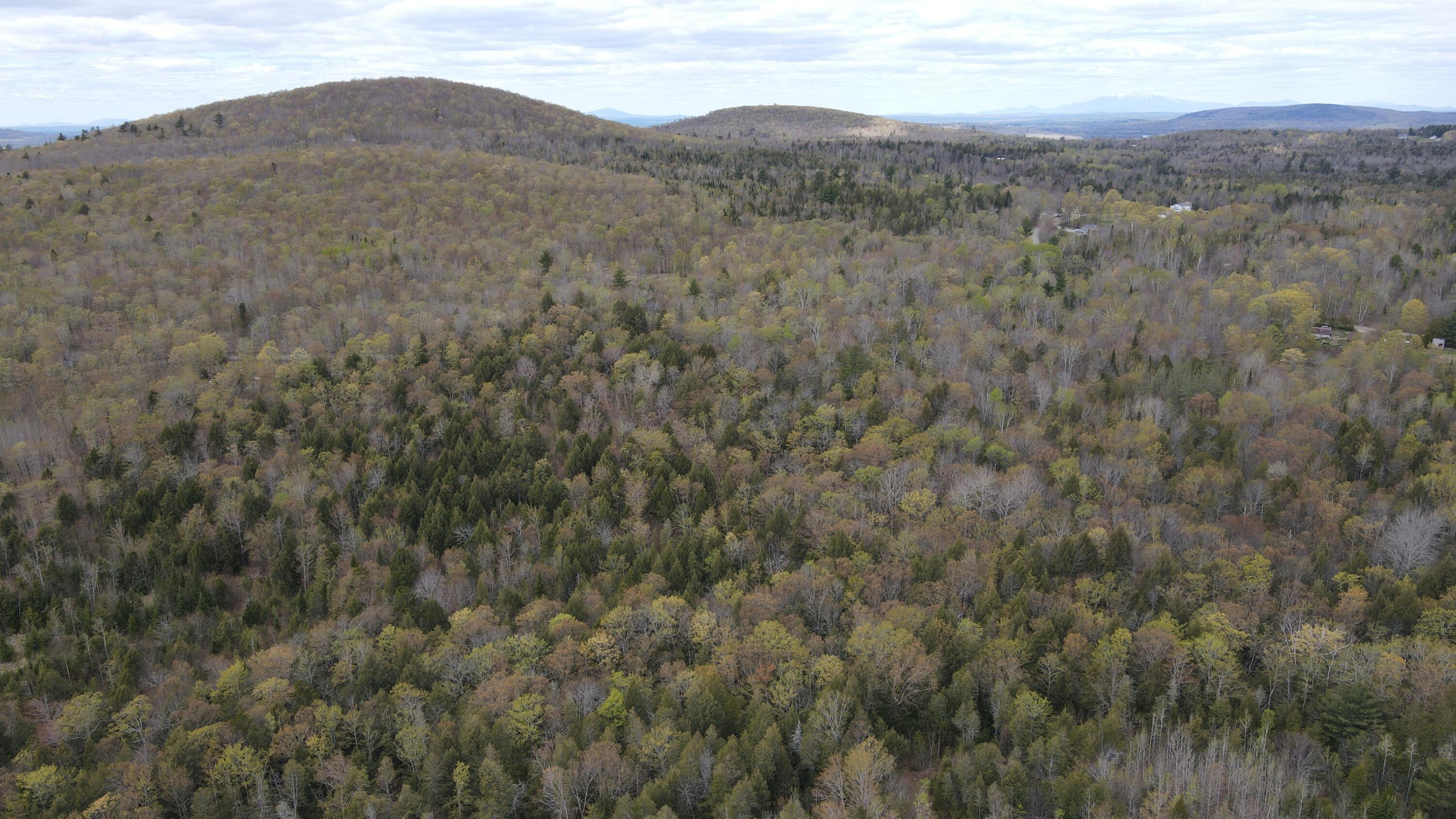 0 South Road Lincoln, ME 04457 - Photo 65 of 75 DJI_0142