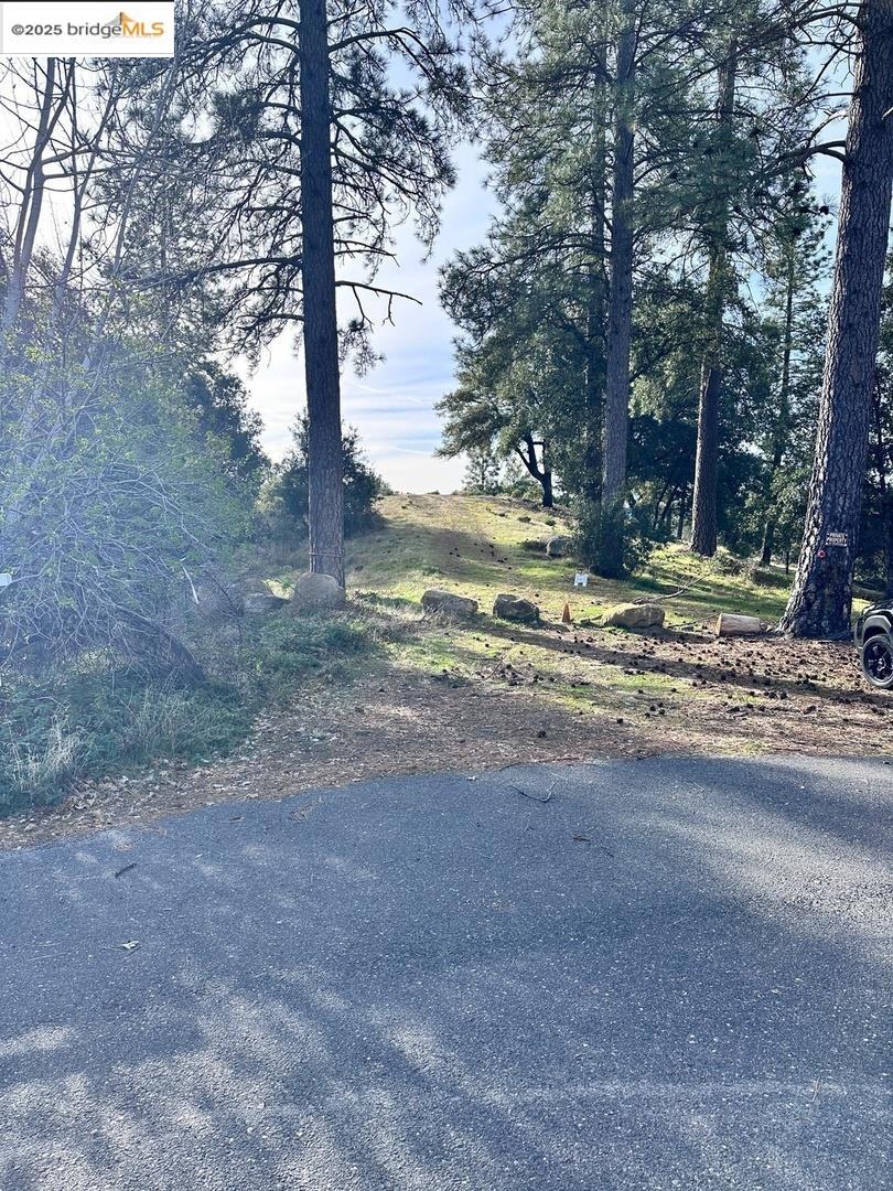 16655 Granite Ridge Lane Sonora, CA 95370 - Photo 1 of 16 a view of a yard with tree s