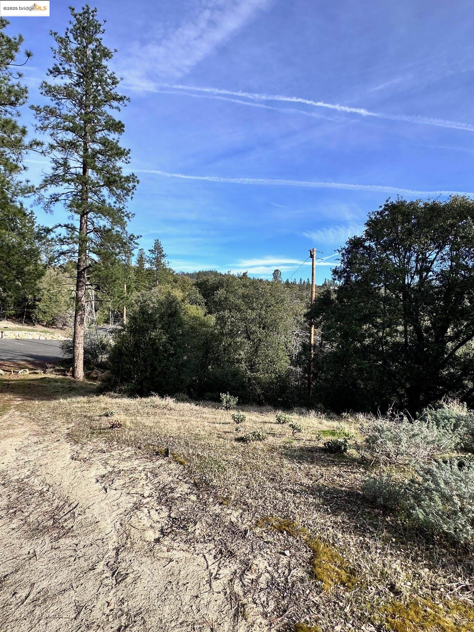 16655 Granite Ridge Lane Sonora, CA 95370 - Photo 11 of 16 a view of yard