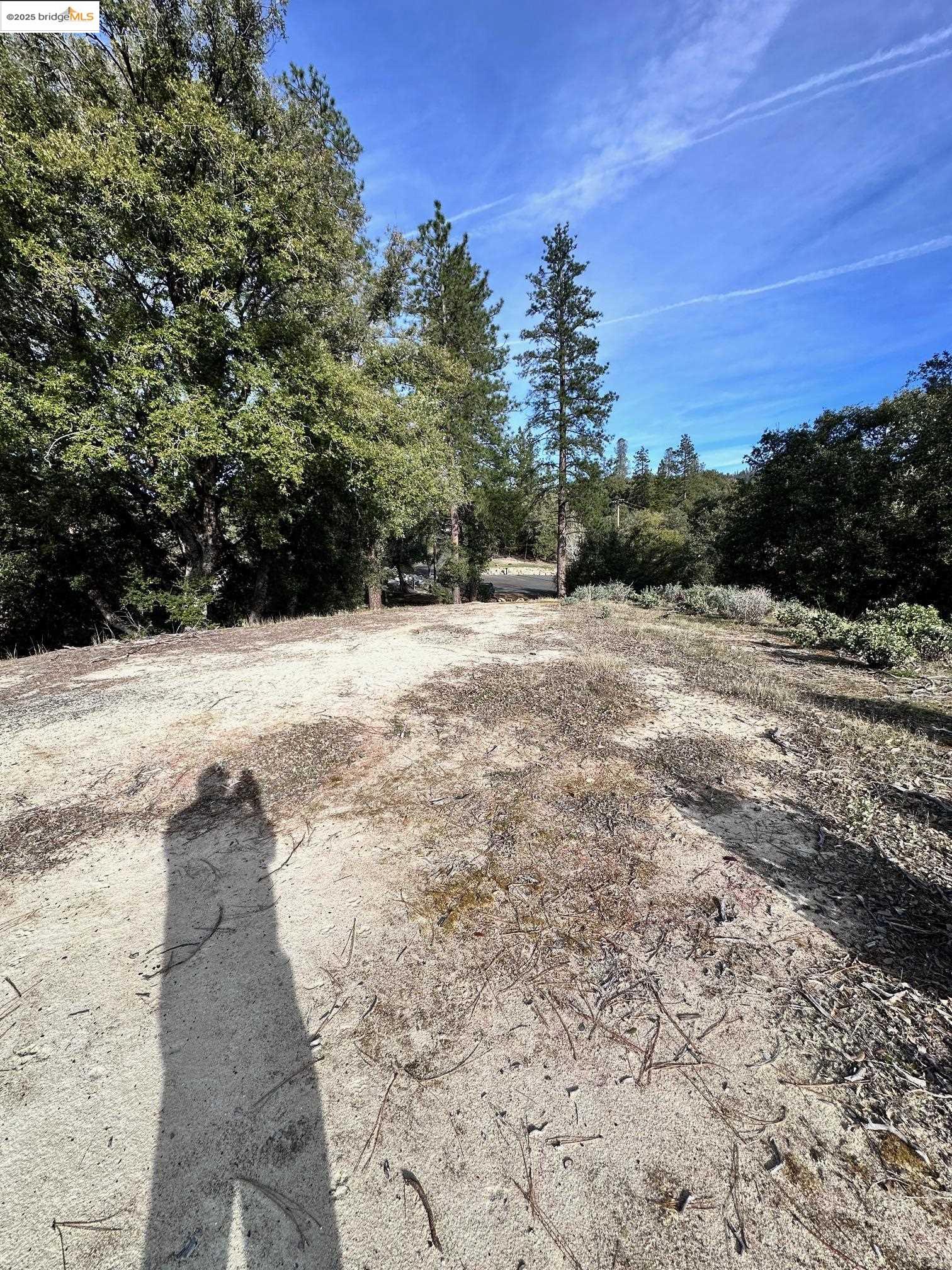 16655 Granite Ridge Lane Sonora, CA 95370 - Photo 13 of 16 a view of a backyard of a house