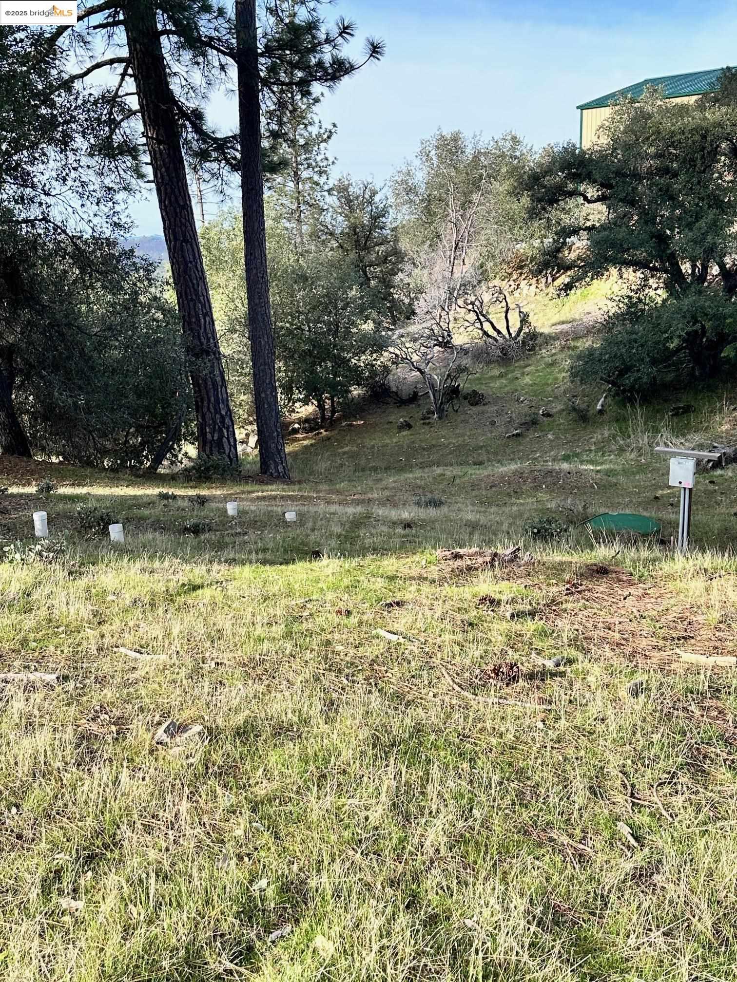 16655 Granite Ridge Lane Sonora, CA 95370 - Photo 15 of 16 a view of swimming pool with a yard