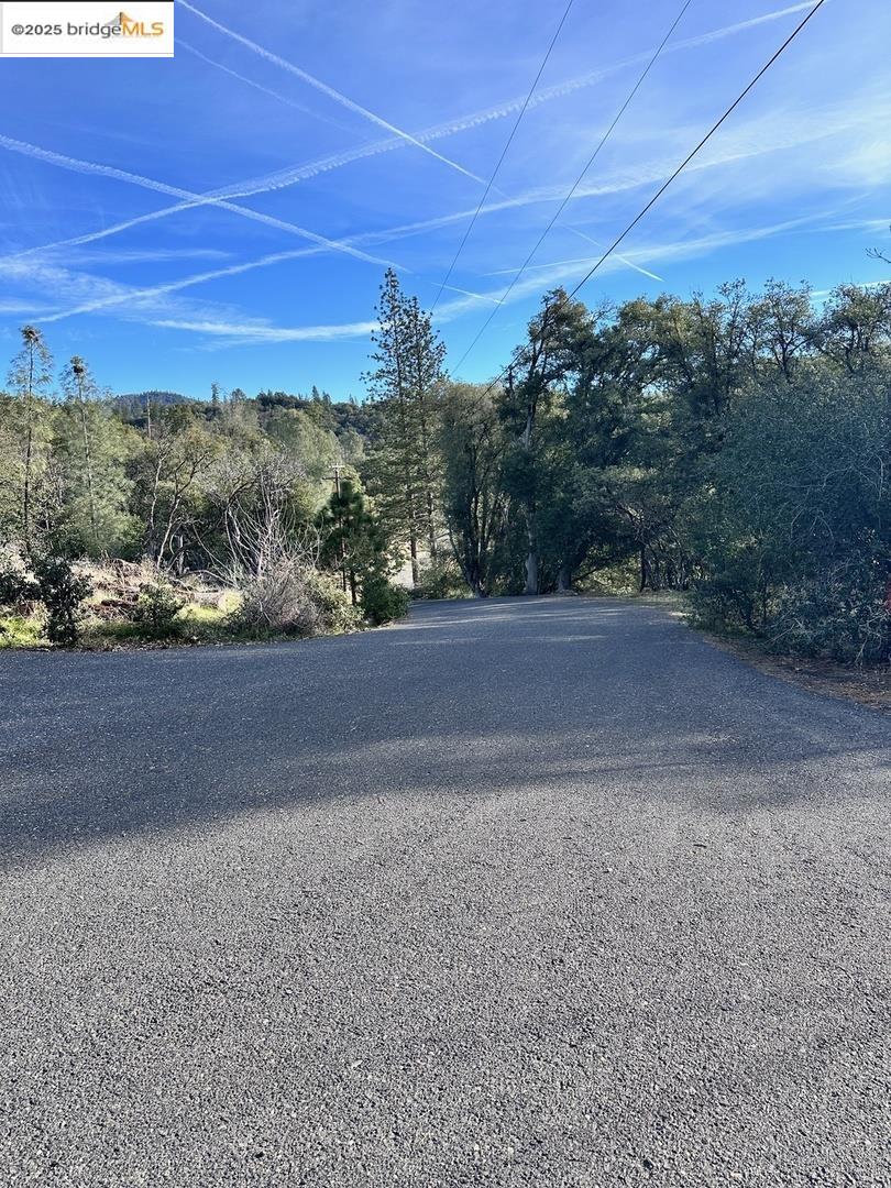 16655 Granite Ridge Lane Sonora, CA 95370 - Photo 3 of 16 a view of a yard