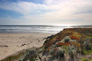 53 Pelican Point Watsonville, CA 95076 - Photo 17 of 36