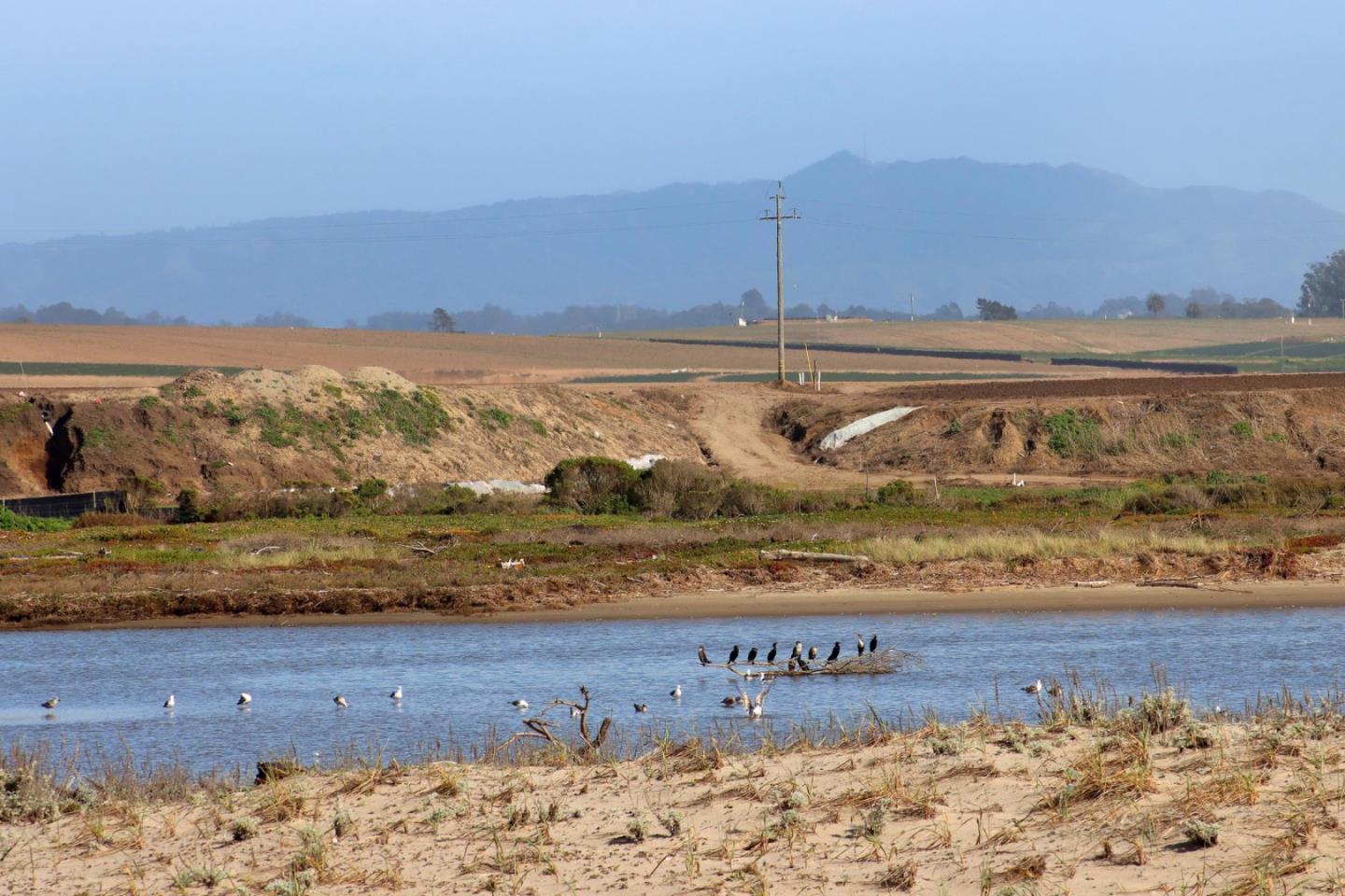 53 Pelican Point Watsonville, CA 95076 - Photo 19 of 36