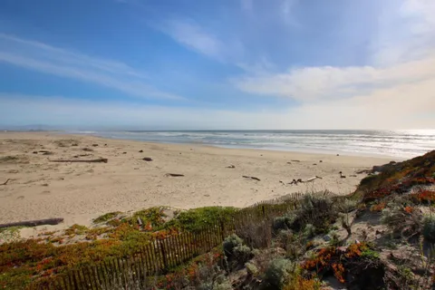 a view of beach and ocean