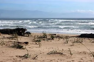 a view of ocean view