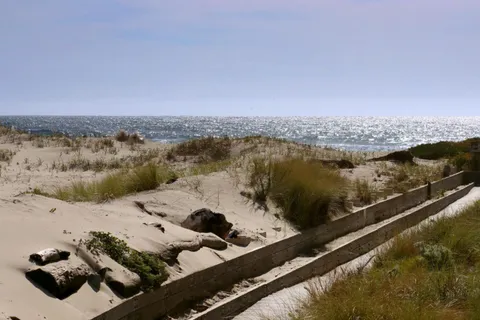 a view of a terrace with wooden floor and a lake view