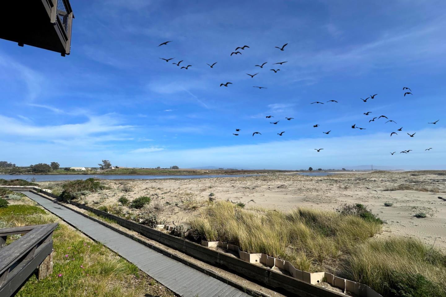 53 Pelican Point Watsonville, CA 95076 - Photo 22 of 36