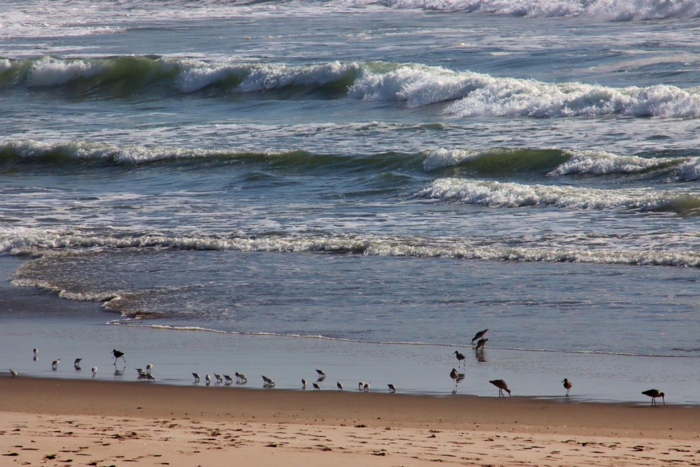 53 Pelican Point Watsonville, CA 95076 - Photo 23 of 36
