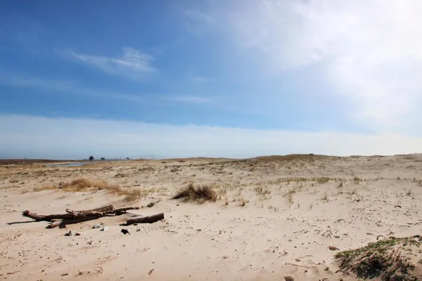 a view of beach and ocean