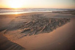 a view of an ocean and beach