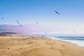 a view of beach and ocean