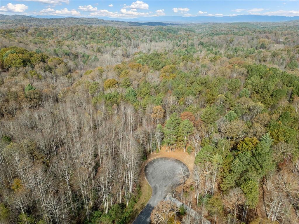 7 Highpoint Ridge Road Ellijay, GA 30536 - Photo 20 of 25 Gallery Image 20