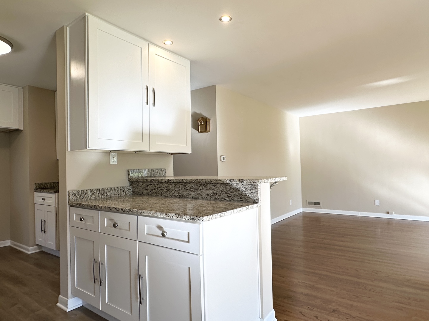 460 South Wall Street Kankakee, IL 60901 - Photo 14 of 52 a kitchen with stainless steel appliances granite countertop a sink and cabinets