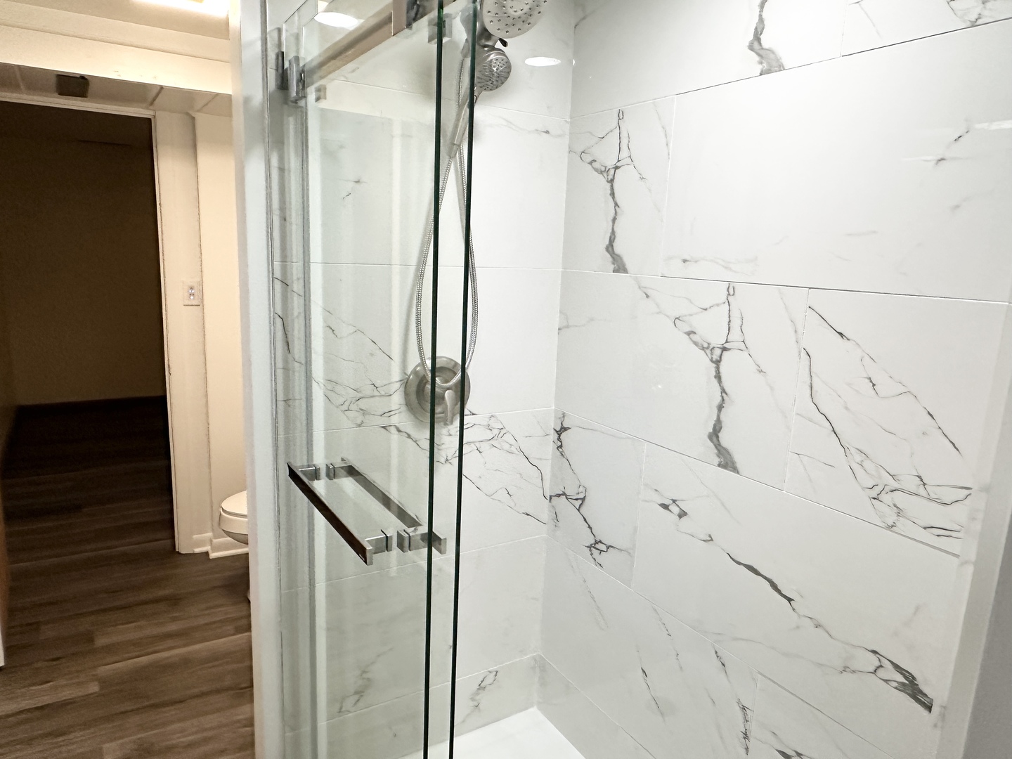 460 South Wall Street Kankakee, IL 60901 - Photo 19 of 52 a bathroom with a glass shower door