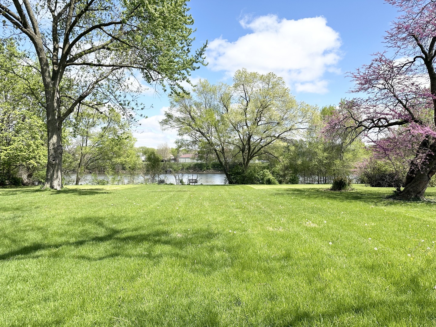 460 South Wall Street Kankakee, IL 60901 - Photo 46 of 52 a view of yard with trees