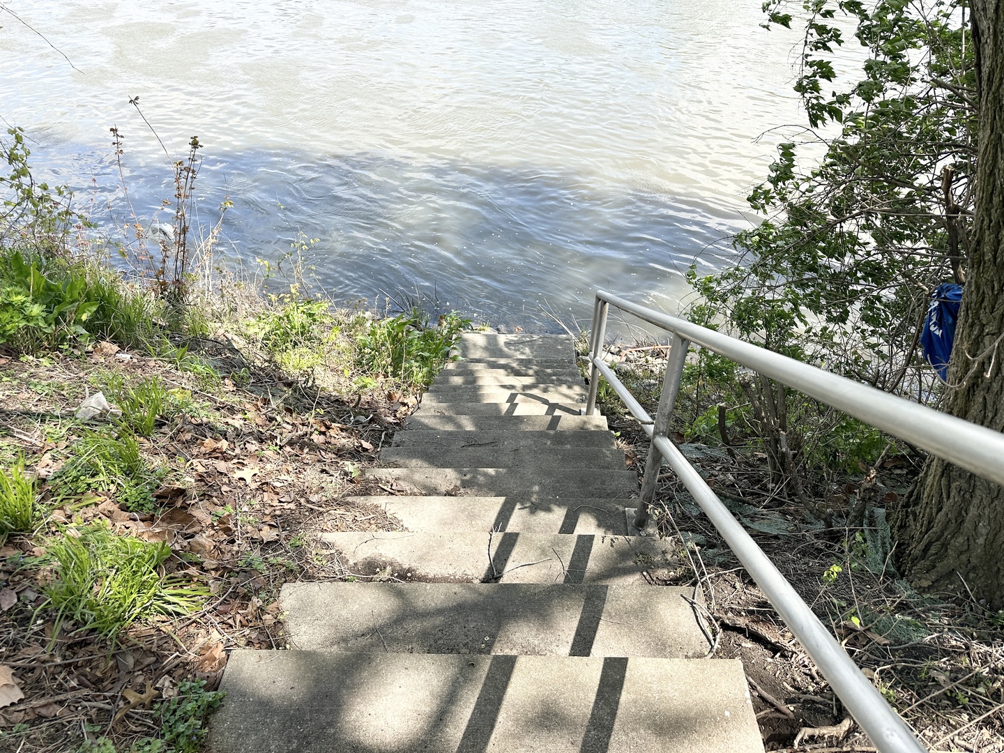 460 South Wall Street Kankakee, IL 60901 - Photo 48 of 52 a view of a wooden bridge