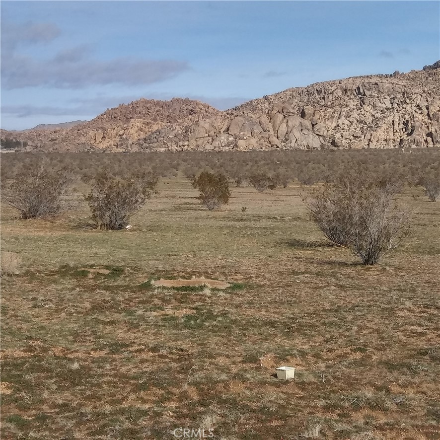 0 Powerline Road Lucerne Valley, CA 92356 - Photo 1 of 1 a view of mountain view