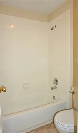 a bathroom with a toilet and a bathtub