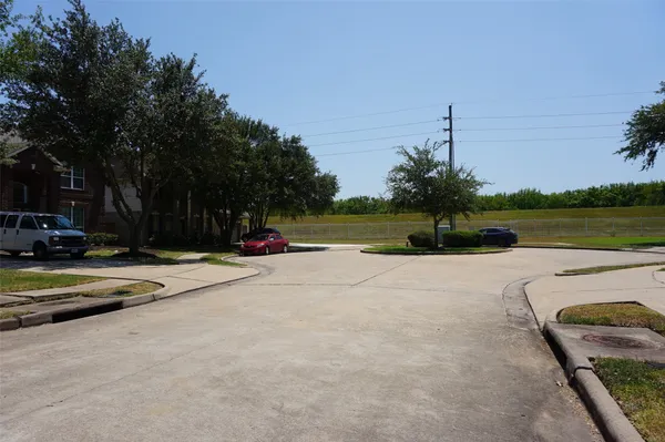 a view of a park with large trees